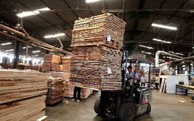 Check spelling or type a new query. Pertumbuhan Industri Plywood Indonesia Cdmi Consulting