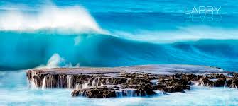 Mint Reef” by Larry Beard, Fine Art Aluminum