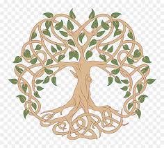 Footstep tree of life clipart. Celtic Tree Of Life Clipart Tree Of Life Silhouette Hd Png Download Vhv