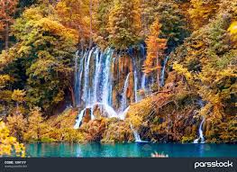 آبشار زیبا در جنگل پاییز عکس 1297177 : پارس استاک - شاتر استوک پارسی