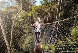 Travelers can go island hopping, jungle trekking and caving. 8 Easy Jungle Treks In Malaysia 2017 Guide Tripfez Muslim Travel