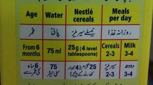 8 Month Baby Food Chart In Urdu Www Bedowntowndaytona Com