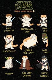 Waffles The Cat Star Wars Humor Star Wars Memes Star Wars Art