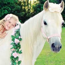 Maybe you would like to learn more about one of these? Top 10 Best Animals For Parties In Akron Oh