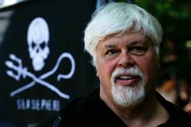 Sea Shepherd-Gründer: Free Paul Watson
