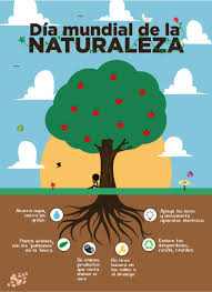 Adobe photoshop lightroom classic 7.5 (macintosh). Flyer Del Dia Mundial De La Naturaleza