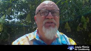 Lewis Morris Airconditioning Testimonial from Jeff Clapp, Cape Coral FL  resident