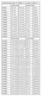 30 average baby weight chart tate publishing news