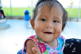 ANNUAL REPORT FY 2016-2017