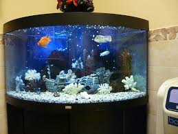Macam macam tutup aquarium dipostkan pada: 75 Idea Reka Bentuk Akuarium Asal Dengan Gambar