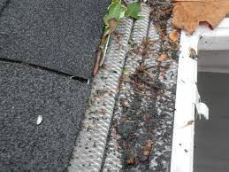 Leaf guards are by far the most expensive style gutter covers on the market. I Just Got Leaf Filter Gutter Guards Steel Mesh 2 Months Ago Now That It S Fall There Are Leaves Piled Up On Top Stuck With Rain Etc What To Do