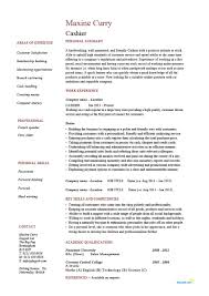 restaurant cashier cv format december 2020