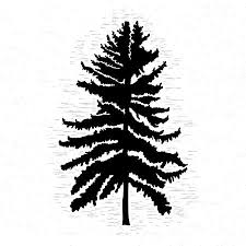 Thanks for watching our channel. 156 Redwood Tree Silhouette Cliparts Stock Vector And Royalty Free Redwood Tree Silhouette Illustrations