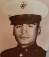 Honoring marine corp birthday and veterans day