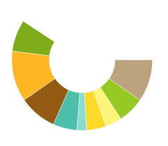 Circle Chart Css Animation Www Bedowntowndaytona Com