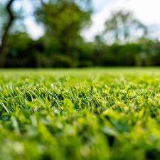 Our locally owned and operated company has been taking care of lawns in arlington, tx for the last six years. Lawn Services Arlington Tx