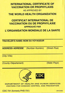 Certificado Internacional de Vacunación (Tarjeta Amarilla), generada por IA