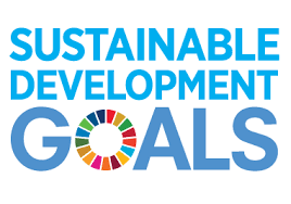 United nations development programme (undp). Home
