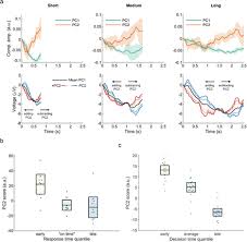 Doctors use a recording of a signal called eeg which measures the electrical activity of the brain using an electrode to understand sleep stages of a patient and make a diagnosis about the quality if their. Temporal Scaling Of Human Scalp Recorded Potentials Biorxiv