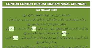 Idgham mutajanisain merupakan pertemuan antara dua huruf yang sama makhrajnya tetapi tidak sama sifatnya seperti pertemuan antara huruf ta' dengan tha, lam dengan ra' serta dzal dengan zha. Ilmu Al Quran Contoh Contoh Hukum Idgham Ma Al Ghunnah Dalam Surah Albaqarah Ayat 56 80