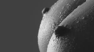 Boobs wallpapers