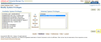 As the process is the same. Configuring An Oracle Rac Database Documentation For Bmc Bladelogic Portal 1 1 Bmc Documentation
