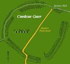 Image result for mynydd y gaer