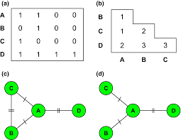 Analysis Of Haplotype Networks The Randomized Minimum Spanning Tree Method Paradis 2018 Methods In Ecology And Evolution Wiley Online Library