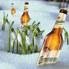 Hier Wachst Nur Frisches Wernesgruner Bier Schneeglockchen