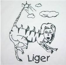 Stay home and eat all the freakin' chips, kip. Liger Napoleon Dynamite Fan Art 2071001 Fanpop