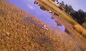 girl stuck in the mud of a pond