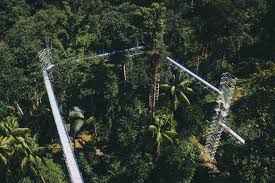 Kementerian pelancongan giat mempromosi malaysia sebagai destinasi eko pelancongan khususnya dalam menarik pelancong yang cintakan alam sekitar dari seluruh dunia. 9 Lokasi Aktiviti Pelancongan Eko Yang Menarik Di Negeri Selangor Ini Adalah Bellarina Natasya