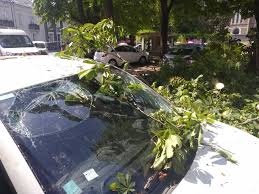 Casse auto à nantes (44) : A Nantes Une Grosse Branche Tombe Sur Une Voiture Pas De Blesse