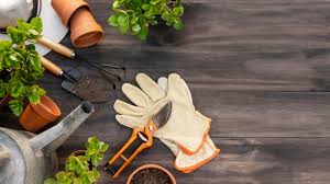 Check spelling or type a new query. Free Photo Plant Care Concept Happy Male Gardener Holds Pot With Cactus Dressed In Striped Jumper And Apron Being In Good Mood