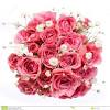 Hübsches mädchen mit weißem blumenstrauß nahe dem gesicht. Https Encrypted Tbn0 Gstatic Com Images Q Tbn And9gctfrjgdks71bt2g8jpsheu Rwajvdxzxizrh6u1jicve Kqbbyz Usqp Cau