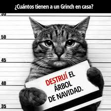 Memes De Gatos Meme I Navidad Meme Gato Fotos Divertidas De Gatos Memes De Animales Divertidos