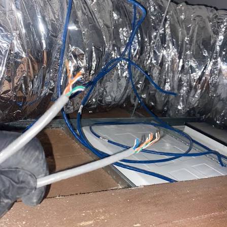 Cute… but not so great for your wiring 😅 Possums in the roof can chew through cabling, move insulation around and leave a bit of a mess behind. If lights start flickering,