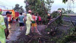 Carte des hôtels aux environs de bojonegoro : Akibat Hujan Disertai Angin Kencang Menerjang Bojonegoro Belasan Pohon Tumbang Dan Kabel Pln Putus Tribun Jatim