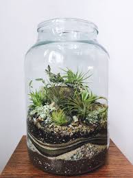 Custom Terrarium With Sand Art Texture And Air Plants Another Open Air Custom Planting The Spotlight Of This One Is Till Plants In Jars Air Plants Terrarium