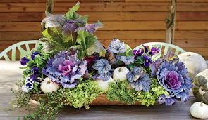 Tischdeko Herbst Zierkohl Weisse Kurbisse Heuchera Herbstbepflanzung Bepflanzung Pflanzideen