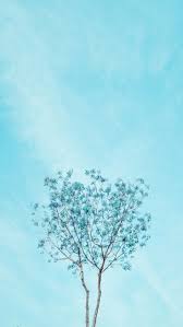 Pastel Blue Aesthetics Desktop Wallpapers On Wallpaperdog The best gifs are on giphy. pastel blue aesthetics desktop