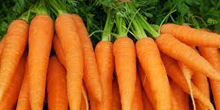Can they also help you see in the dark? Why Carrots Are The Essential Superfood Zenb Zenb Us