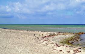 Sol og strand er ekspert i sommerhusudlejning, og vi har stået for udlejning af sommerhus siden 1979. Ferienhaus Skovgarde Strand Danemark D76001 Novasol