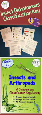 Fun Dichotomous Classification Key Activity On Insects And Arthropods Dichotomous Key Arthropods Life Science Activities