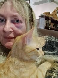 Kitten tangled in legs while walking