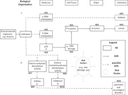 Epigenetic Applications In Adverse Outcome Pathways And