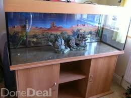 5 Foot 400 Litre Tank Fish For Sale Fish All Fish