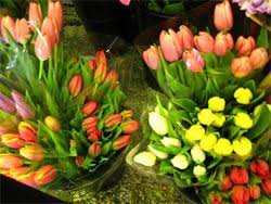 Chai wholesale flowers inc is located in tampa, florida. The Flower Market At Bayshore Bulk Flowers Tampa Fl