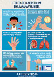 Llevaba una semana hospitalizado según los reportes de la prensa local, el hombre tardó. El Universal On Twitter Desde El Ano 2016 No Se Encuentra A La Venta El Antidoto Para Picadura De Arana Violinista Https T Co Bu0dwbdcnl