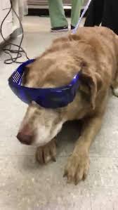 We did not find results for: Mebane Pet Clinic Home Facebook